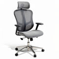 Technische titel in het Nederlands: **Ergonomische bureaustoel met mesh rugleuning en verstelbare hoogte**